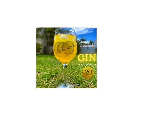 Gin Tropical